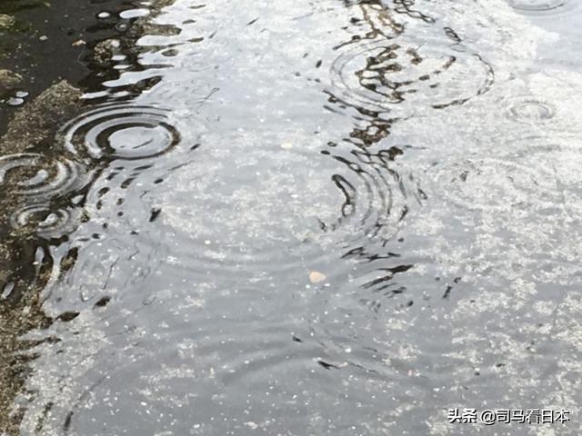 只有6月梅雨时节才能看到的绝美景色--东京的花季与雨季