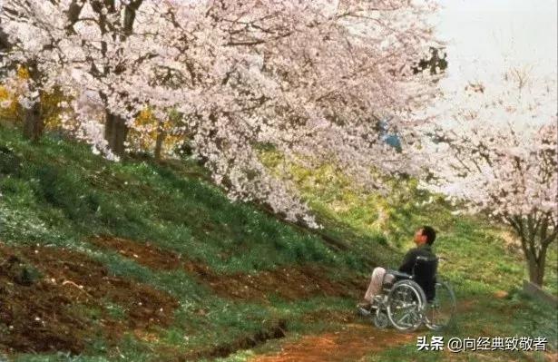 「荐读」北野武:我打算继续当个好色的男人