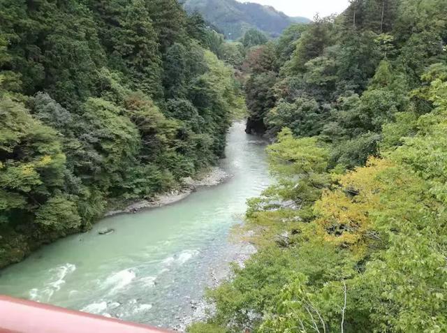 昨天，我和日本朋友，聊了聊楼市和房价……