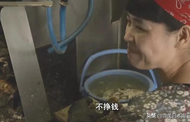 NHK实录日本实习生骗局,曝光当代人口贩卖交易…???!