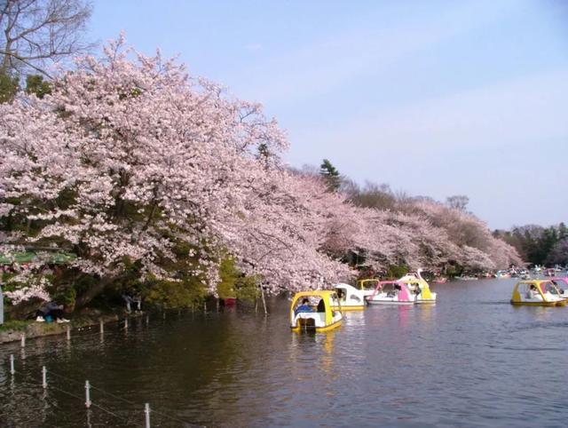 2019年日本“最想居住的街道”排行榜出炉,吉祥寺不是第一?