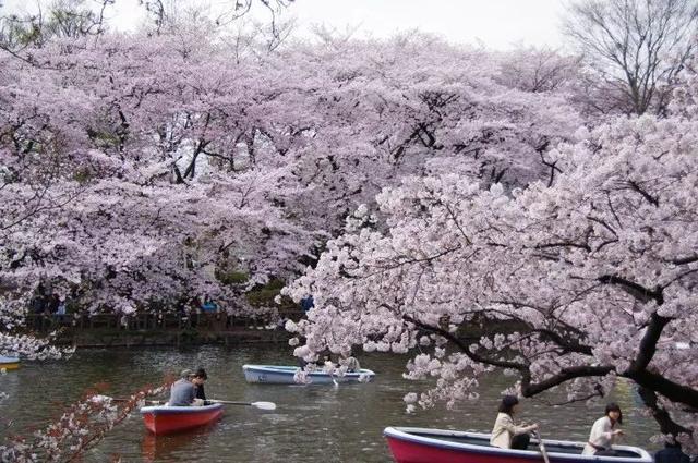 2019年日本“最想居住的街道”排行榜出炉,吉祥寺不是第一?