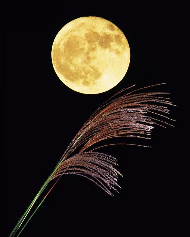 中秋节前,了解下日本人过中秋节的那些事