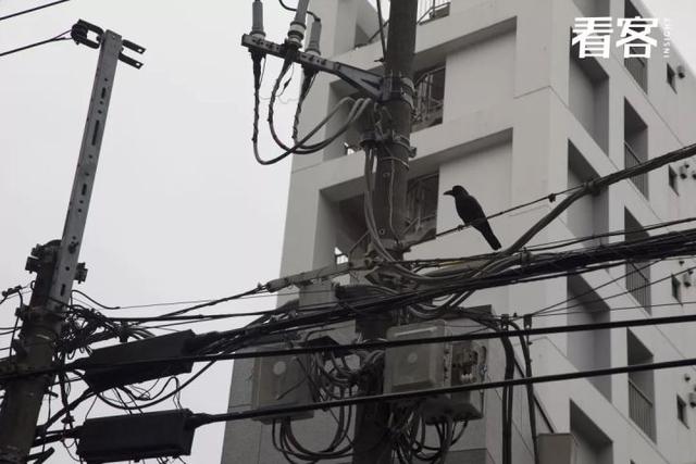 我打入了日本房产圈,试图搞清中国人买房的秘密