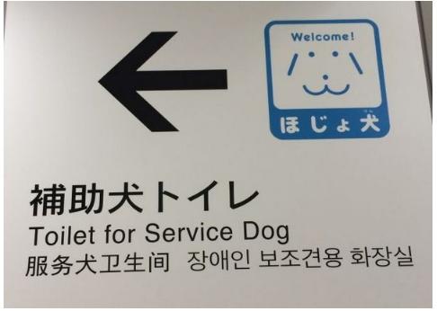 亚洲最先成为发达国家的日本,究竟发达到什么程度?