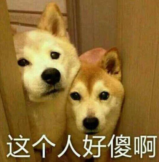 北野武净身出户后被情妇抛弃,哭丧脸接受采访的样子也太好笑了hhh