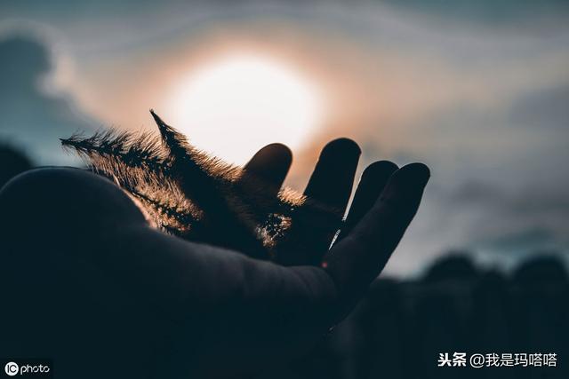 松浦弥太郎:我的人生,从40岁才刚刚开始