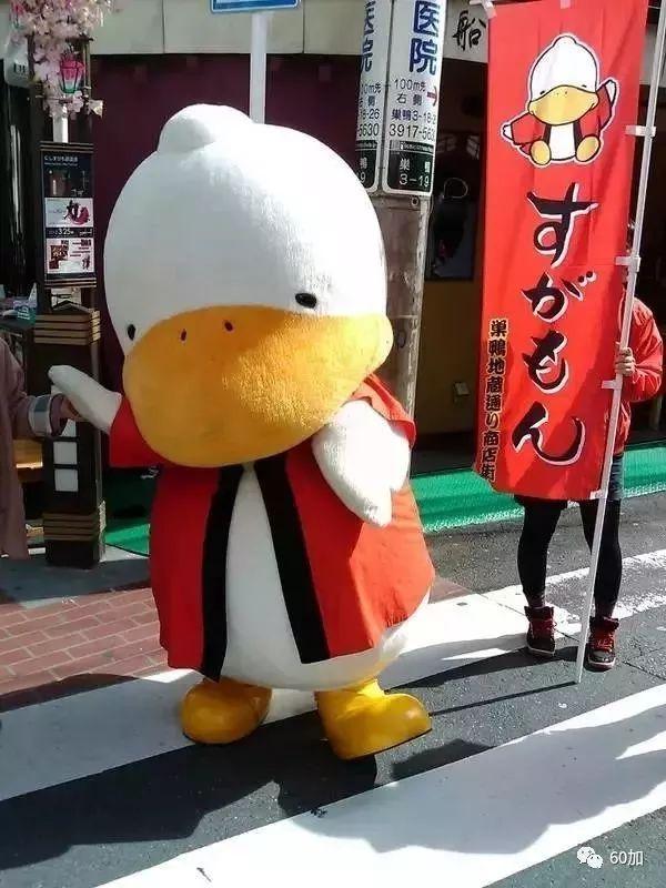 每年800万游客 日本巢鸭街缘何成为老年人的购物天堂?