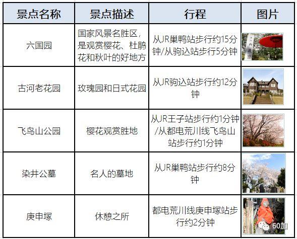 每年800万游客 日本巢鸭街缘何成为老年人的购物天堂?