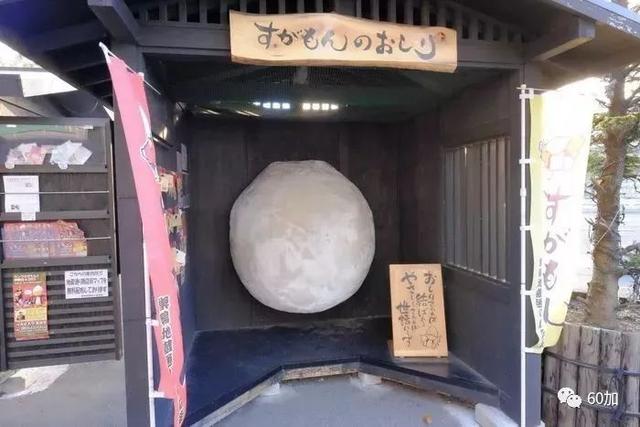 每年800万游客 日本巢鸭街缘何成为老年人的购物天堂?