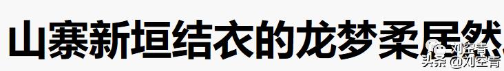 山寨新垣结衣终于大红大紫了!为什么她可以迷倒众多日本人?