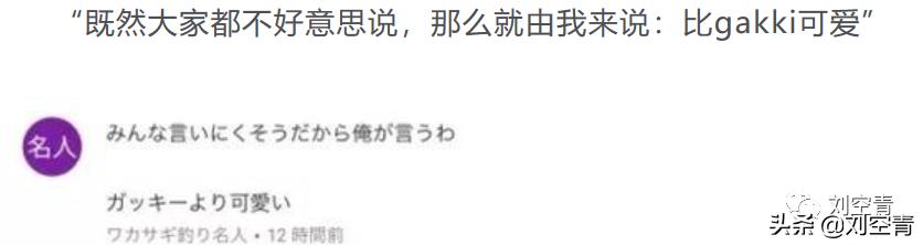 山寨新垣结衣终于大红大紫了!为什么她可以迷倒众多日本人?