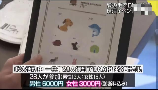 每5个男人里,就有1个打光棍到死:日本这次真急了
