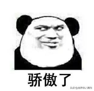 日本网友:支付宝终于解禁了!我爱中国