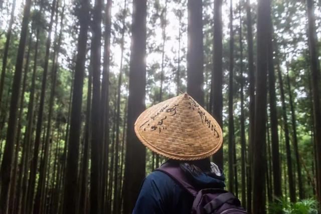 日本熊野古道,徒步秘境