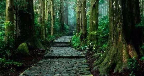 日本熊野古道,徒步秘境