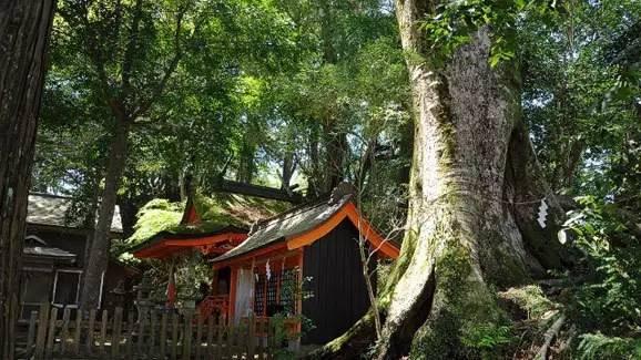 日本熊野古道,徒步秘境