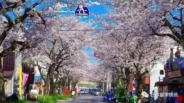 日本东京这23个区各不相同,你都了解吗?