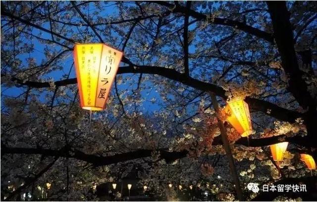 日本东京这23个区各不相同,你都了解吗?