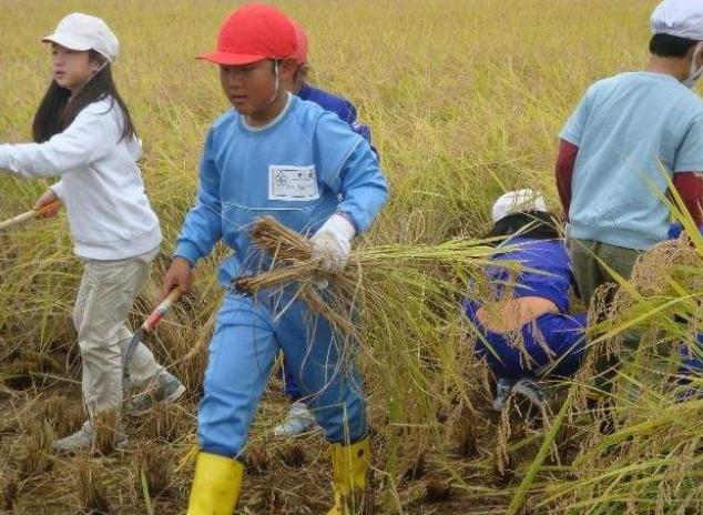 日本传奇科学家，为拉经费夸下海口，破译长生不老第一步