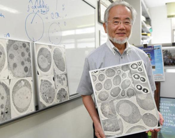 日本传奇科学家，为拉经费夸下海口，破译长生不老第一步