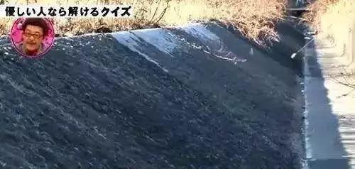 烤香肠划几道口子的真实原因,日本这些小细节真的太温柔了...
