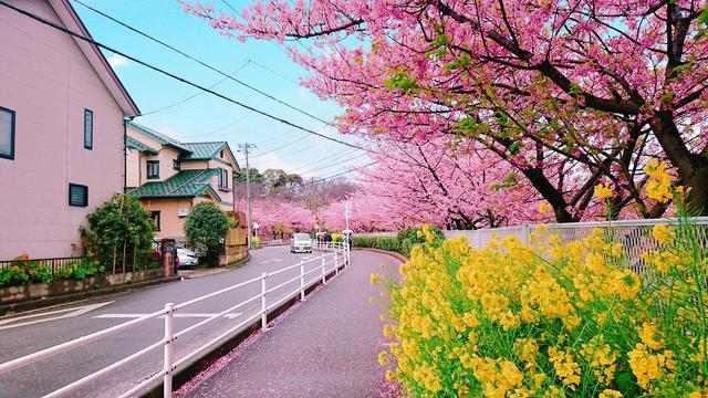 日本人最爱的竟不是京都?2019年日本最新“城市魅力榜”出炉
