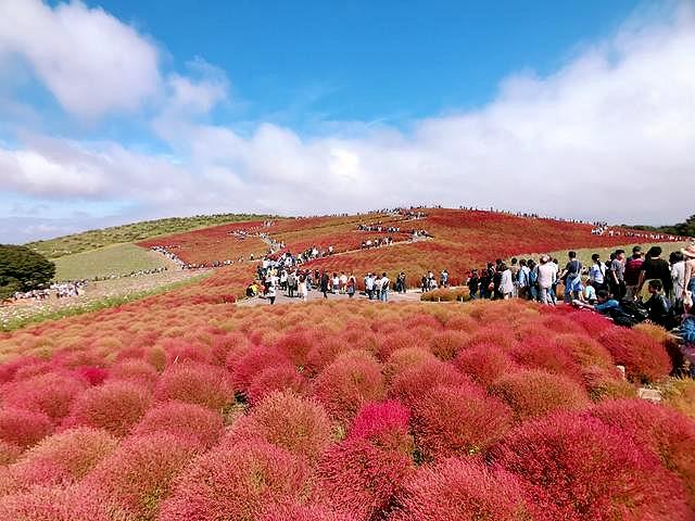 日本人最爱的竟不是京都？2019年日本最新“城市魅力榜”出炉