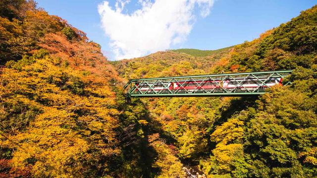 日本人最爱的竟不是京都?2019年日本最新“城市魅力榜”出炉
