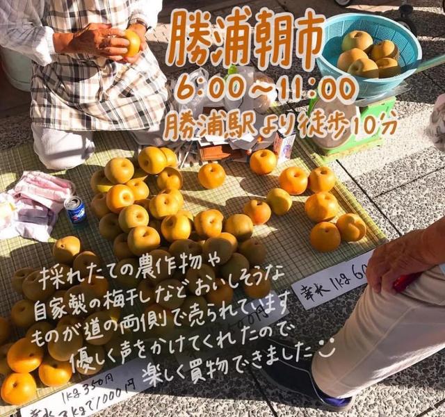 日本海鲜市场攻略,一张图让你克服选择障碍