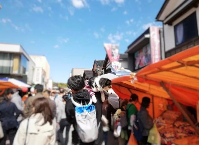 日本海鲜市场攻略,一张图让你克服选择障碍