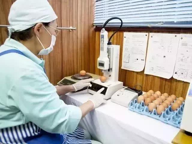 日本的生鸡蛋为什么可以生吃?跟国内有什么不同,原来如此