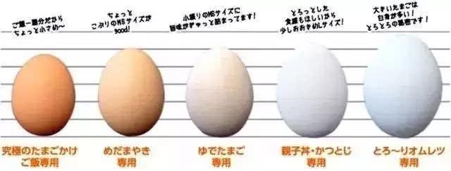 日本的生鸡蛋为什么可以生吃?跟国内有什么不同,原来如此