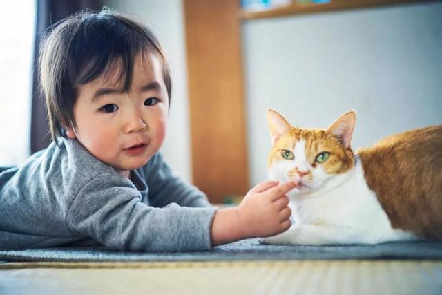 日本患癌摄影师,用镜头做了他生命中,最后的告白