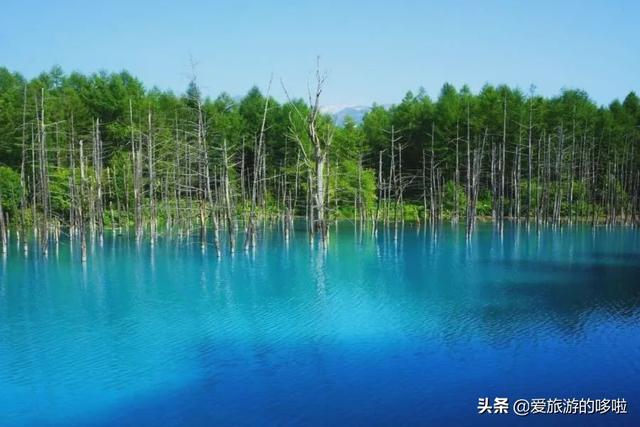 美媒评选25处日本最美景,无一不是夺人语言的美