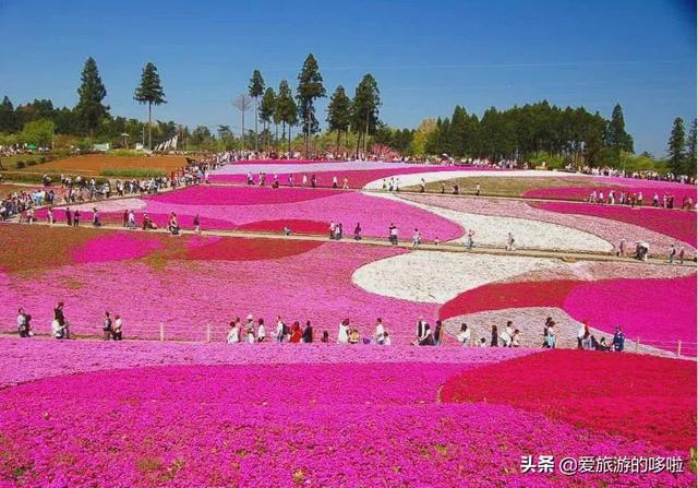 美媒评选25处日本最美景，无一不是夺人语言的美