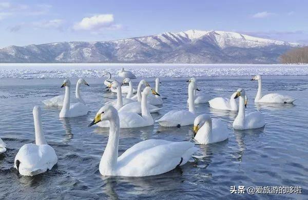 美媒评选25处日本最美景,无一不是夺人语言的美