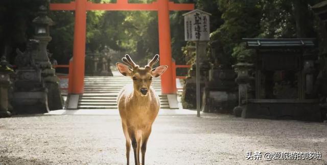 美媒评选25处日本最美景，无一不是夺人语言的美