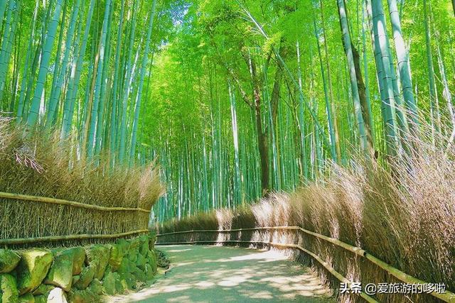 美媒评选25处日本最美景,无一不是夺人语言的美
