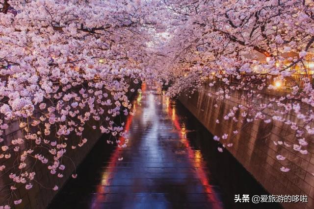 美媒评选25处日本最美景,无一不是夺人语言的美
