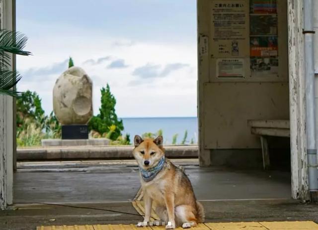 日本最好看的海，都藏在这些车站里