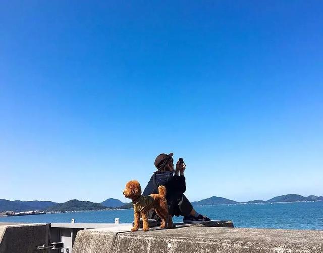 日本最好看的海,都藏在这些车站里