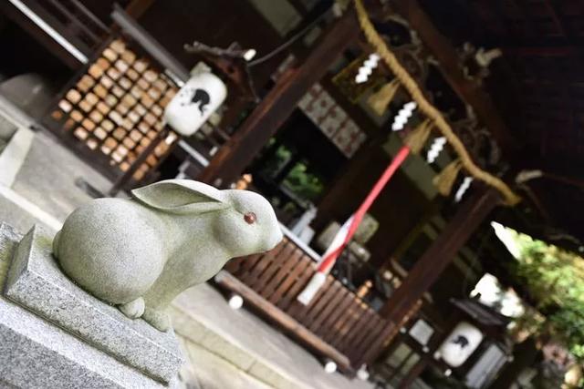 全日本最适合拍照晒图的十大神社,没人能逃过的神秘之美