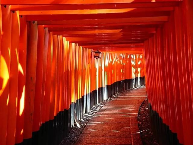 全日本最适合拍照晒图的十大神社,没人能逃过的神秘之美