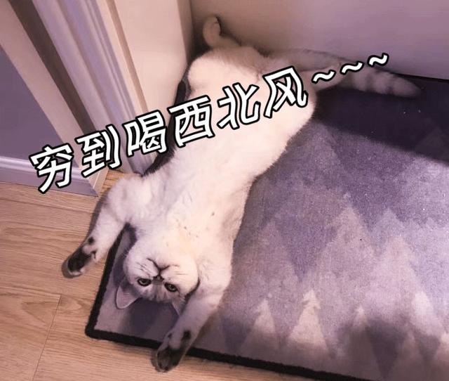 赌上国运!日本真的输不起