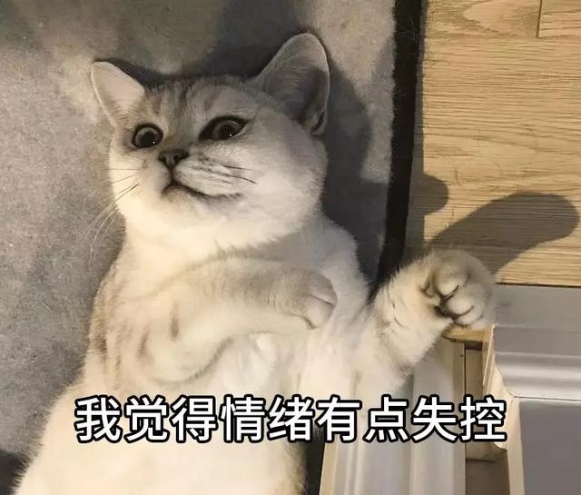 赌上国运!日本真的输不起