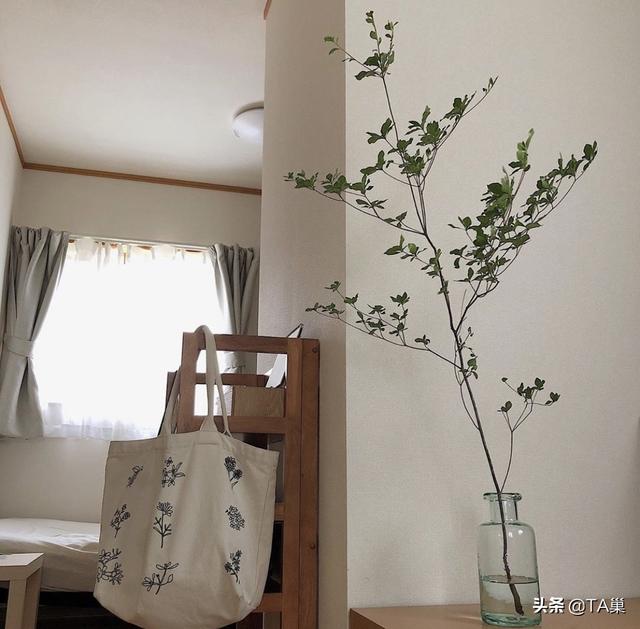 27㎡一个人住!日本女孩的极简生活,从住到吃,省钱术走红网络