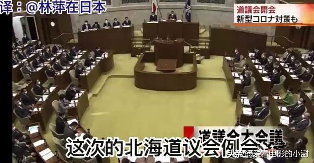 疫情之下日本的这位知事彻底火了,明明可以靠颜值却偏要靠实力