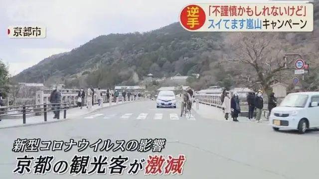 这个樱花旺季,手握100间日本民宿的人却惨淡到谷底