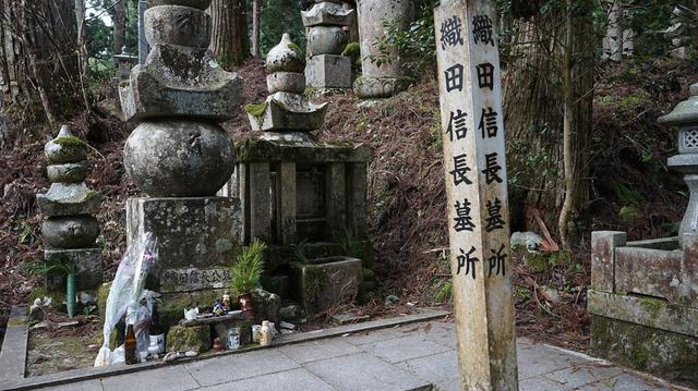 徒步世遗朝圣之路,在森林古道遇见神明